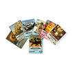 Picture of ITALIAN BRAINROT TRADE PACK